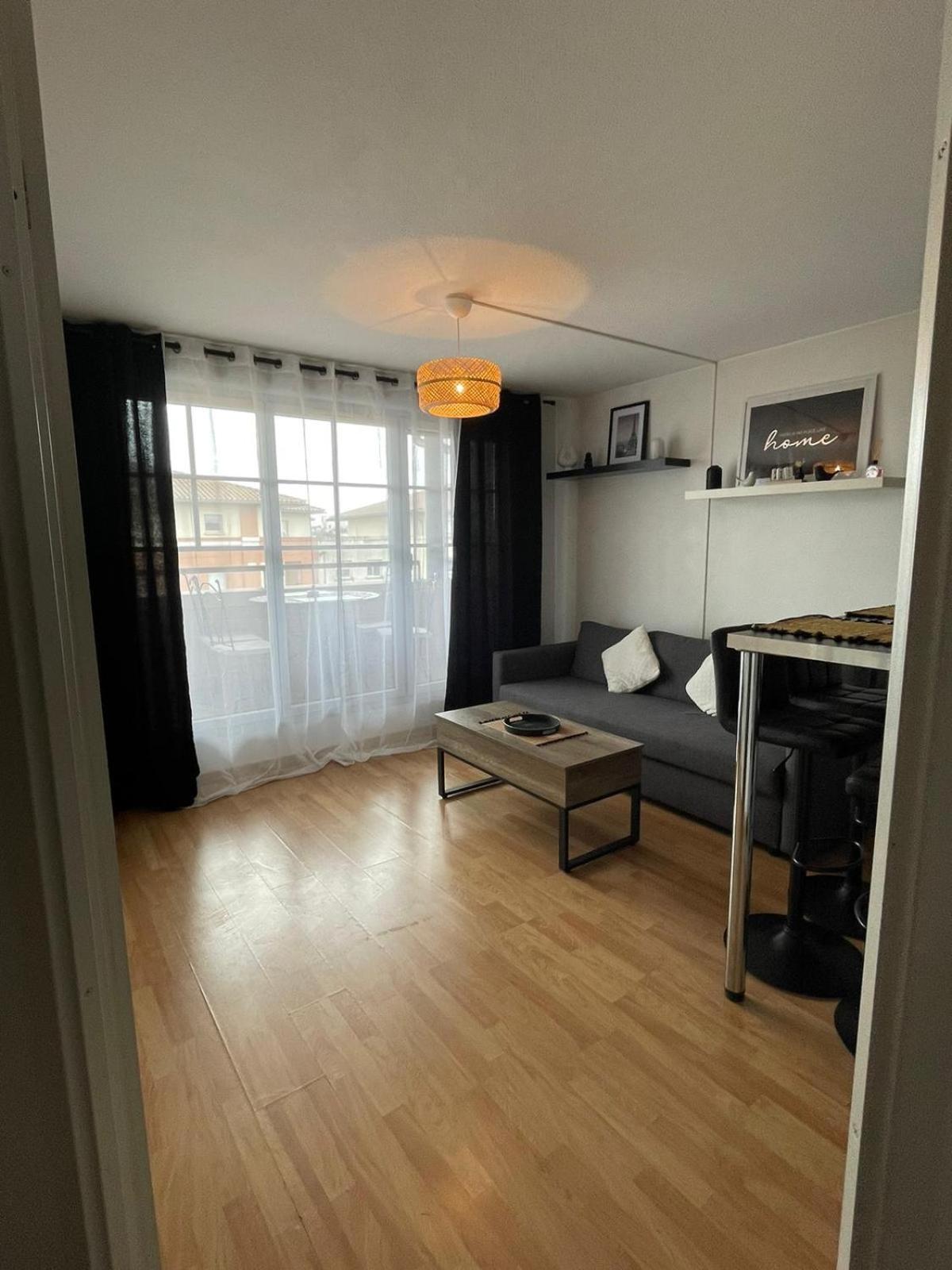 City Rose T2, Climatisation,Parking Prive, Piscine, Wifi , Tout Confort Toulouse Dış mekan fotoğraf
