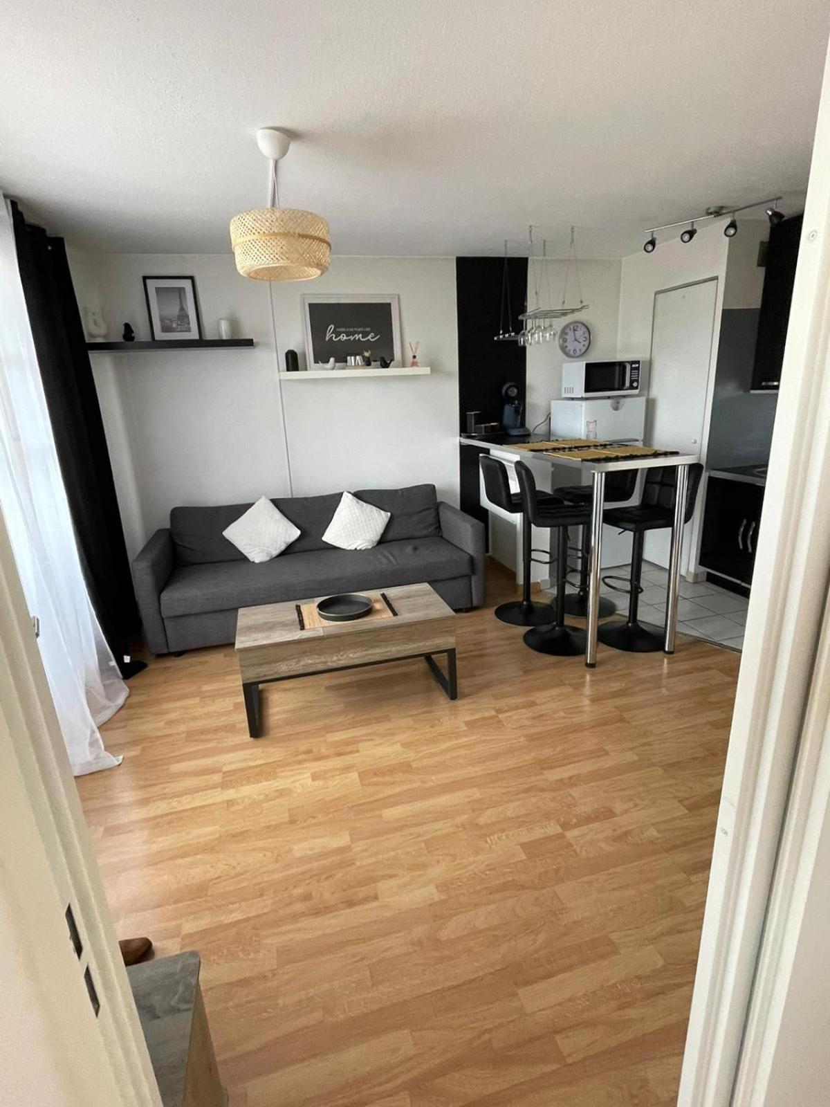 City Rose T2, Climatisation,Parking Prive, Piscine, Wifi , Tout Confort Toulouse Dış mekan fotoğraf